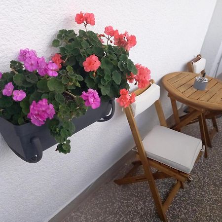 Apartment Danijela シベニク エクステリア 写真