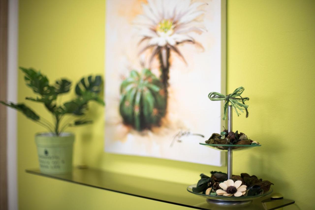 Apartment Danijela シベニク エクステリア 写真