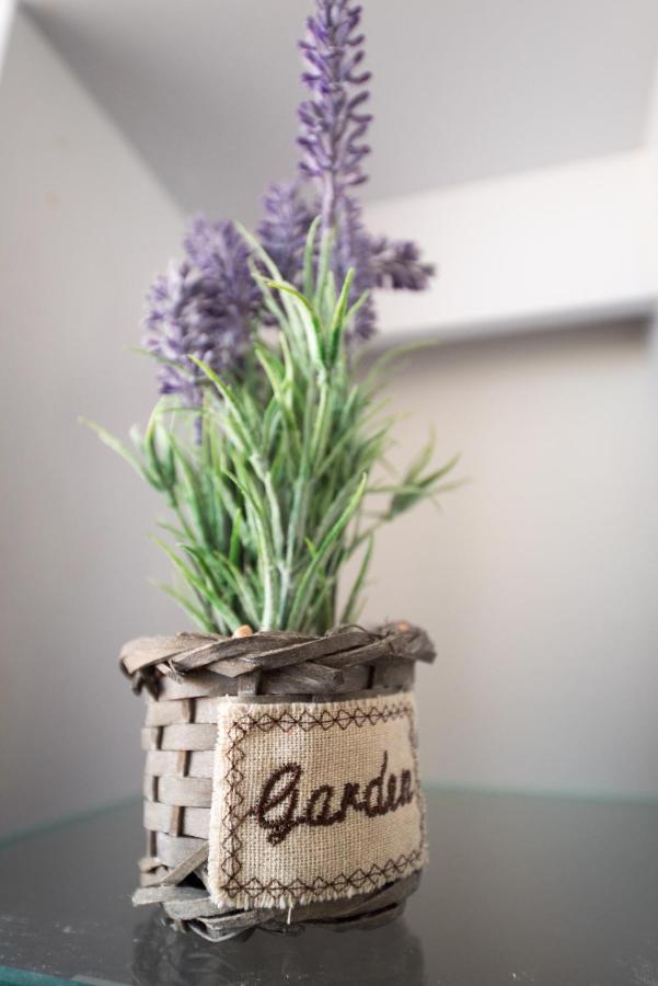 Apartment Danijela シベニク エクステリア 写真