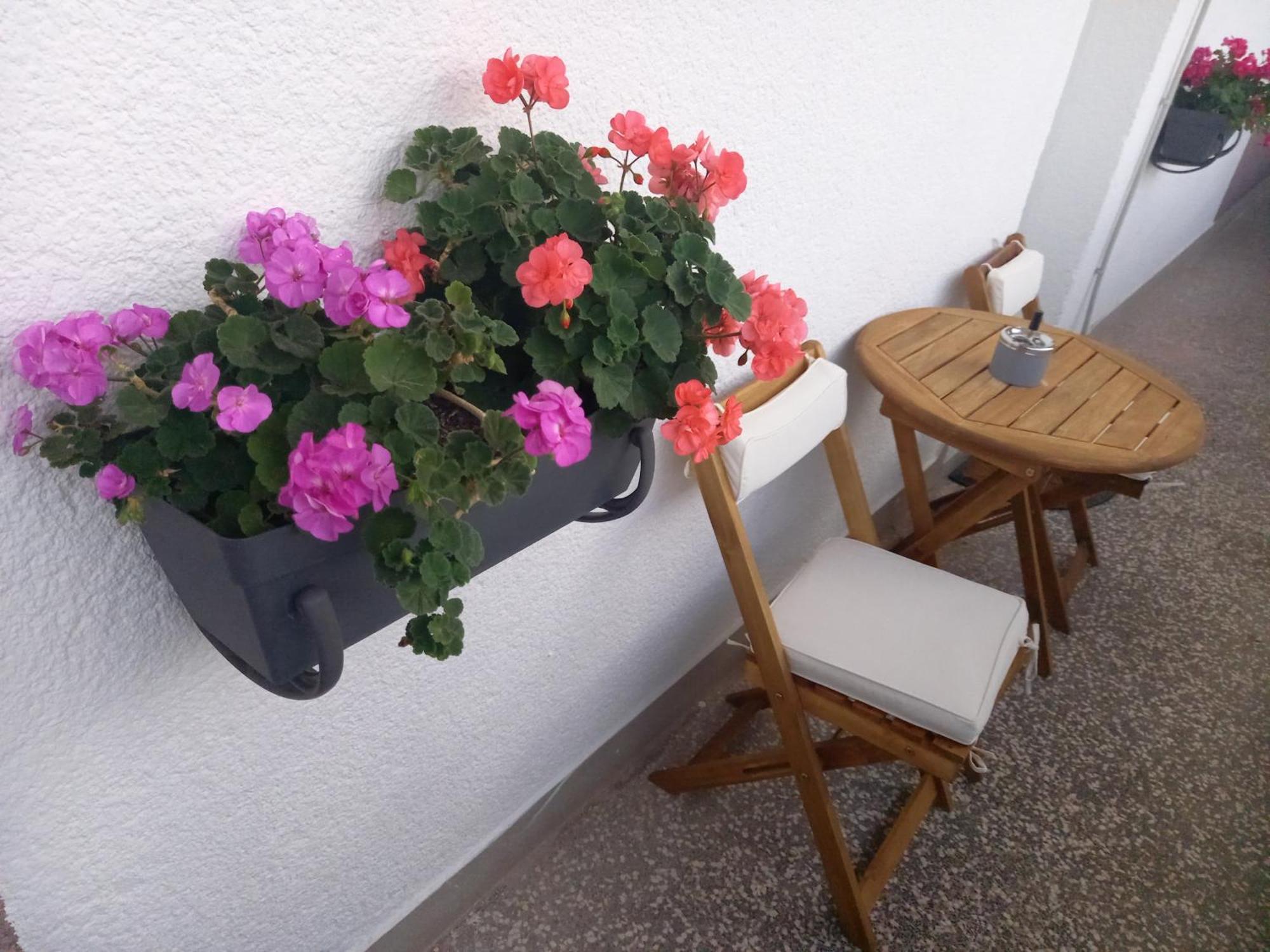 Apartment Danijela シベニク エクステリア 写真